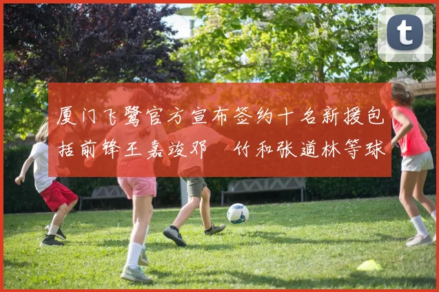厦门飞鹭官方宣布签约十名新援包括前锋王嘉竣邓棽竹和张道林等球员