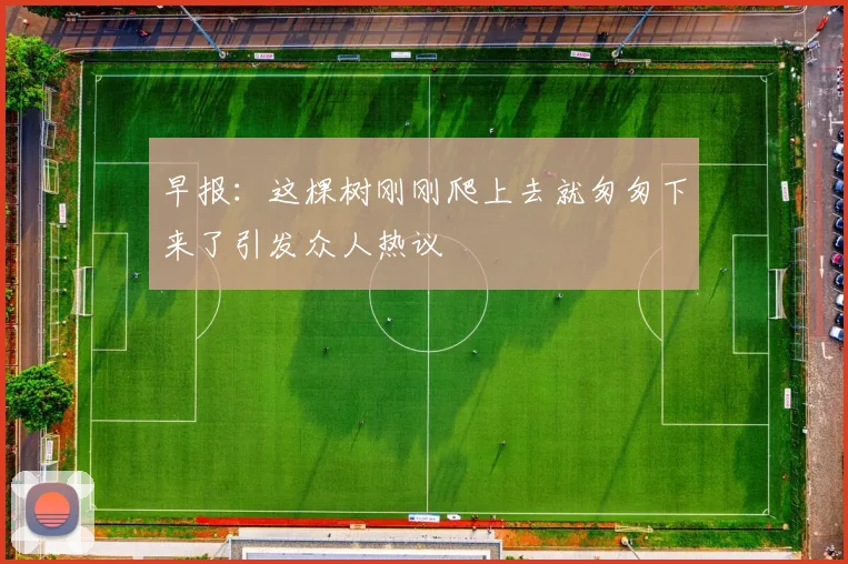 早报：这棵树刚刚爬上去就匆匆下来了引发众人热议