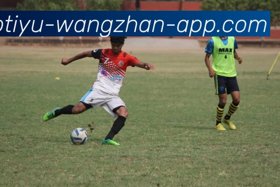 B体育APP 体育赛事宣传图